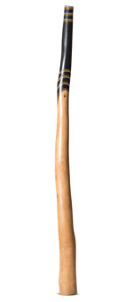 Jesse Lethbridge Didgeridoo (JL244)